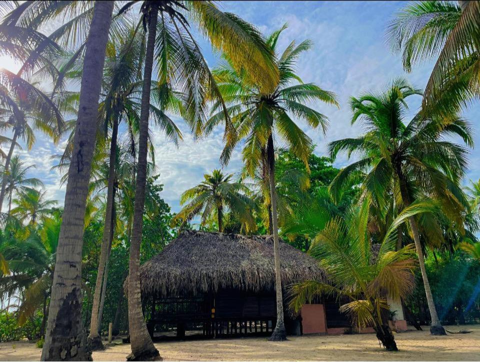 Cabanas Las Estrellas Palomino Pokoj fotografie