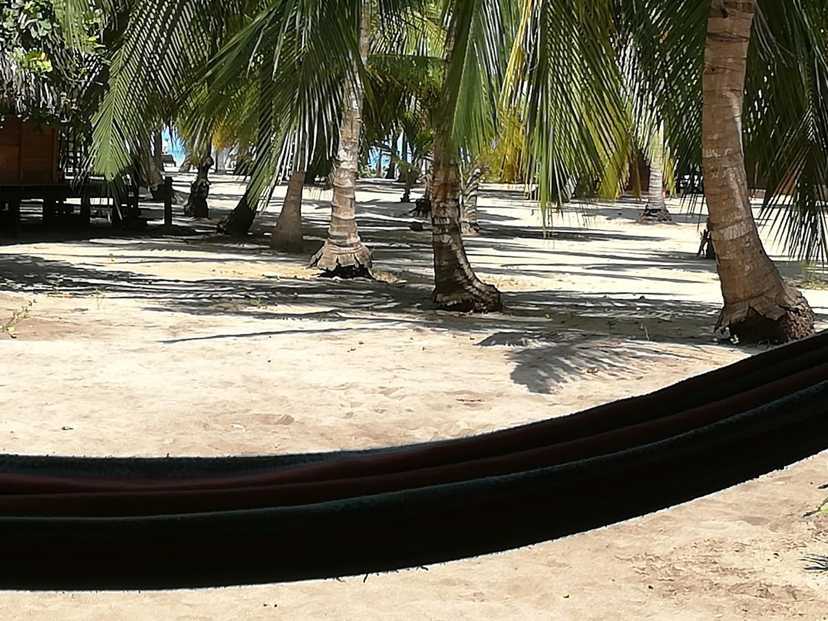 Cabanas Las Estrellas Palomino Exteriér fotografie